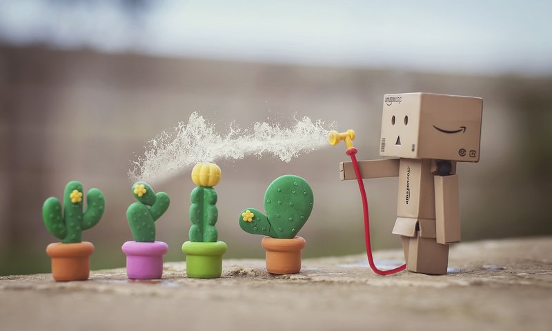 Обои цветы, коробка, кактусы, данбо, картонный робот, flowers, box, cacti, danbo, cardboard robot разрешение 1920x1200 Загрузить