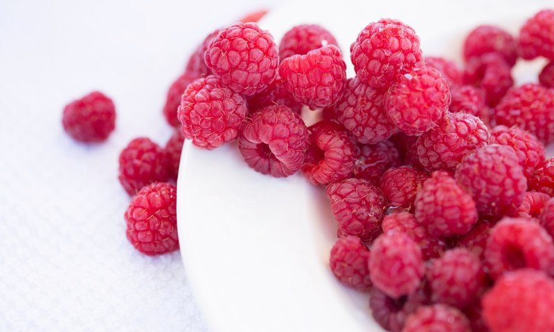 Обои макро, малина, ягоды, тарелка, macro, raspberry, berries, plate разрешение 5760x3840 Загрузить