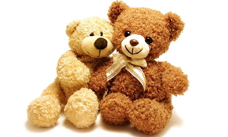 Обои игрушка, пара, белый фон, тедди, медведи, плюшевый мишка, toy, pair, white background, teddy, bears, teddy bear разрешение 4816x3210 Загрузить