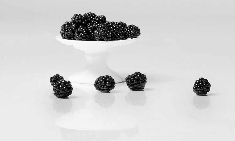 Обои фон, еда, ягоды, белый фон, ежевика, background, food, berries, white background, blackberry разрешение 2560x1709 Загрузить