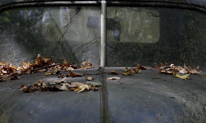 Обои листья, машина, осень, лом, капот, leaves, machine, autumn, scrap, the hood разрешение 2222x1481 Загрузить