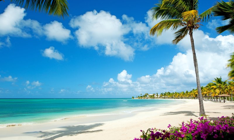 Обои море, пляж, тропики, 9, sea, beach, tropics разрешение 5346x3732 Загрузить