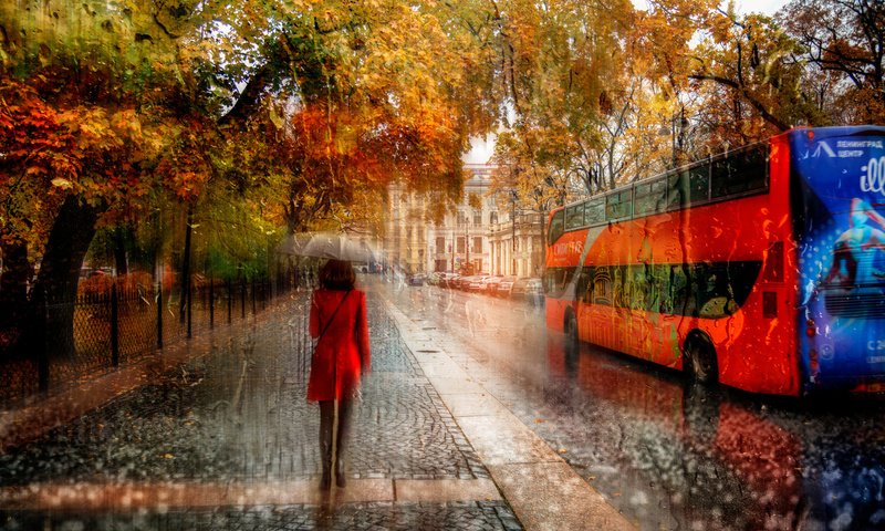 Обои деревья, девушка, город, осень, улица, дождь, зонт, автобус, trees, girl, the city, autumn, street, rain, umbrella, bus разрешение 1920x1200 Загрузить