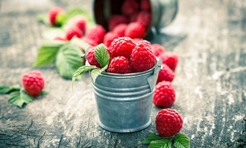 Обои малина, ягоды, raspberry, berries разрешение 4922x3456 Загрузить