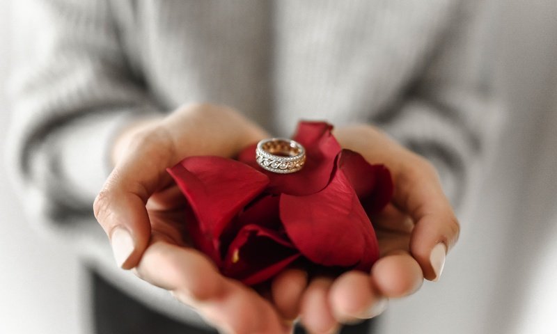 Обои лепестки, кольцо, руки, драгоценности, ювелирные изделия, обручальное кольцо, petals, ring, hands, jewelry разрешение 6016x4016 Загрузить