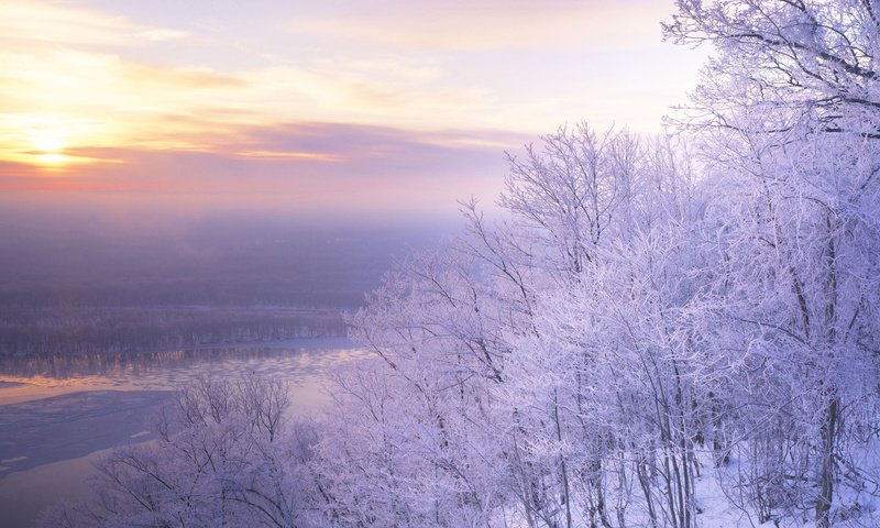 Обои деревья, снег, природа, закат, пейзаж, иней, сиреновое небо, trees, snow, nature, sunset, landscape, frost разрешение 1920x1080 Загрузить