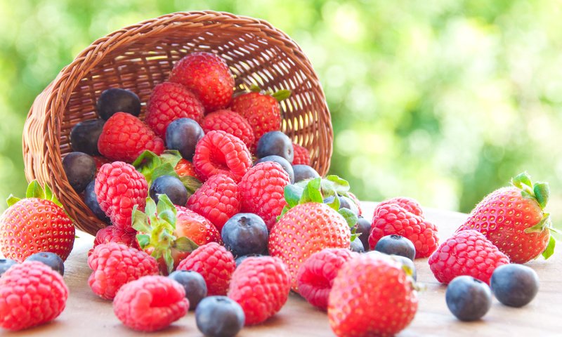 Обои лесные ягоды, berries разрешение 7000x4638 Загрузить
