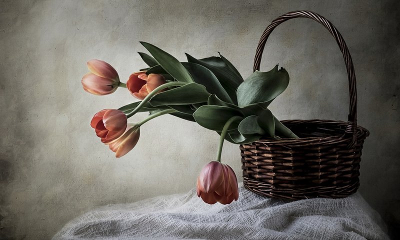 Обои стиль, корзина, тюльпаны, style, basket, tulips разрешение 2112x1188 Загрузить