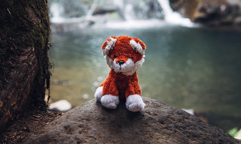 Обои водопад, игрушка, камень, мягкая игрушка, waterfall, toy, stone, soft toy разрешение 3840x2400 Загрузить