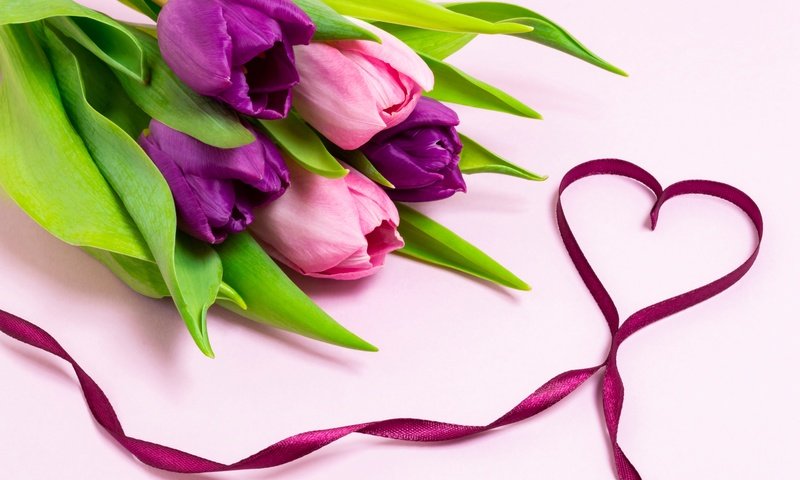 Обои цветы, сердце, букет, тюльпаны, лента, flowers, heart, bouquet, tulips, tape разрешение 6016x4000 Загрузить