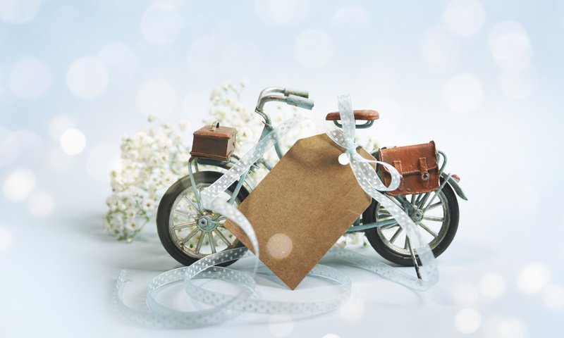 Обои цветы, ленточка, велосипед, композиция, flowers, ribbon, bike, composition разрешение 1920x1080 Загрузить