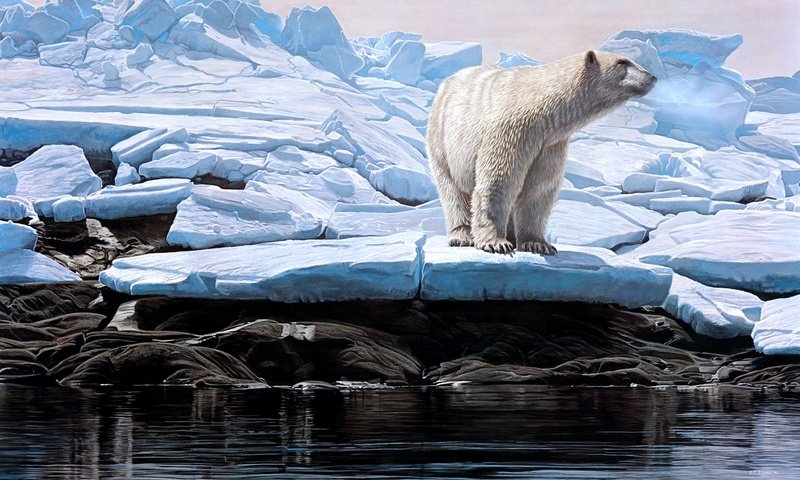 Обои зима, льдины, белый медведь, winter, ice, polar bear разрешение 3970x2431 Загрузить