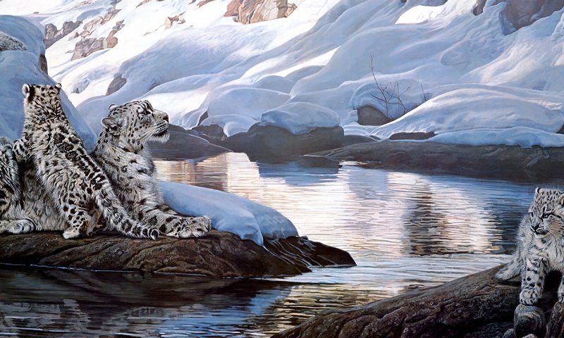 Обои зима, малыши, семейство, снежные барсы, winter, kids, family, snow leopards разрешение 4500x2147 Загрузить