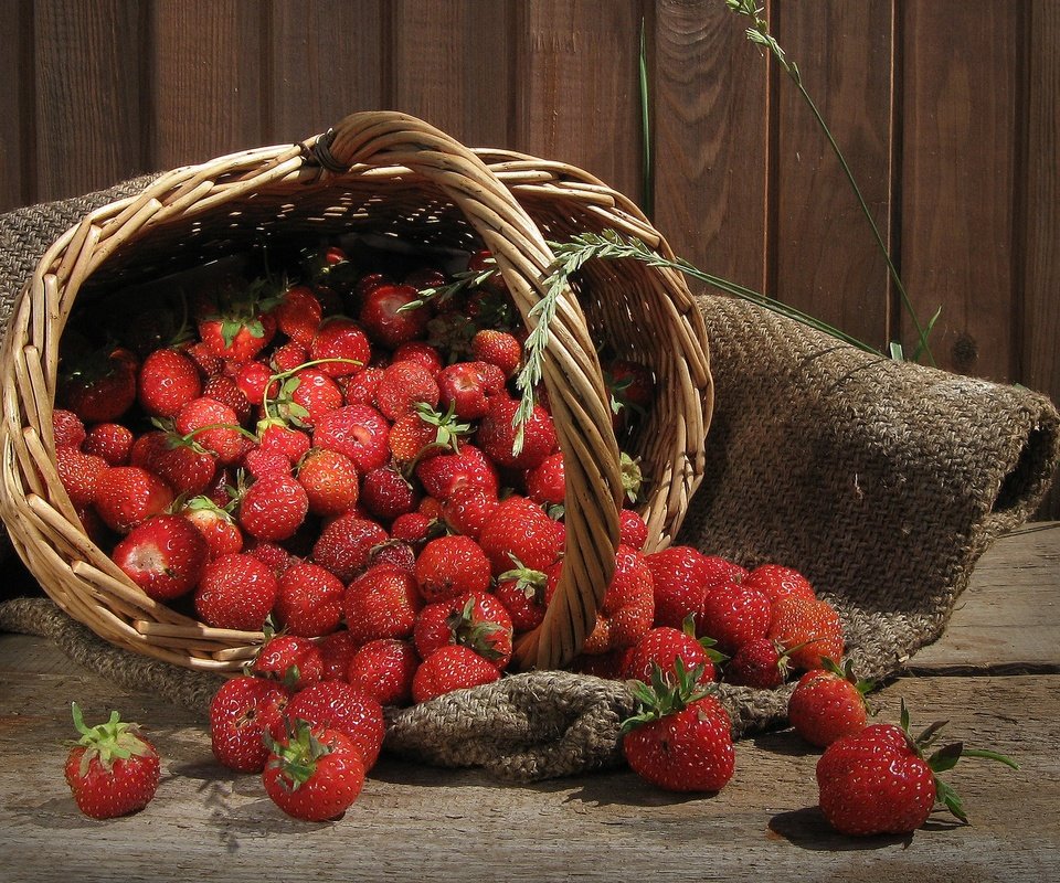 Обои клубника, ягоды, корзинка, мешковина, strawberry, berries, basket, burlap разрешение 1920x1200 Загрузить