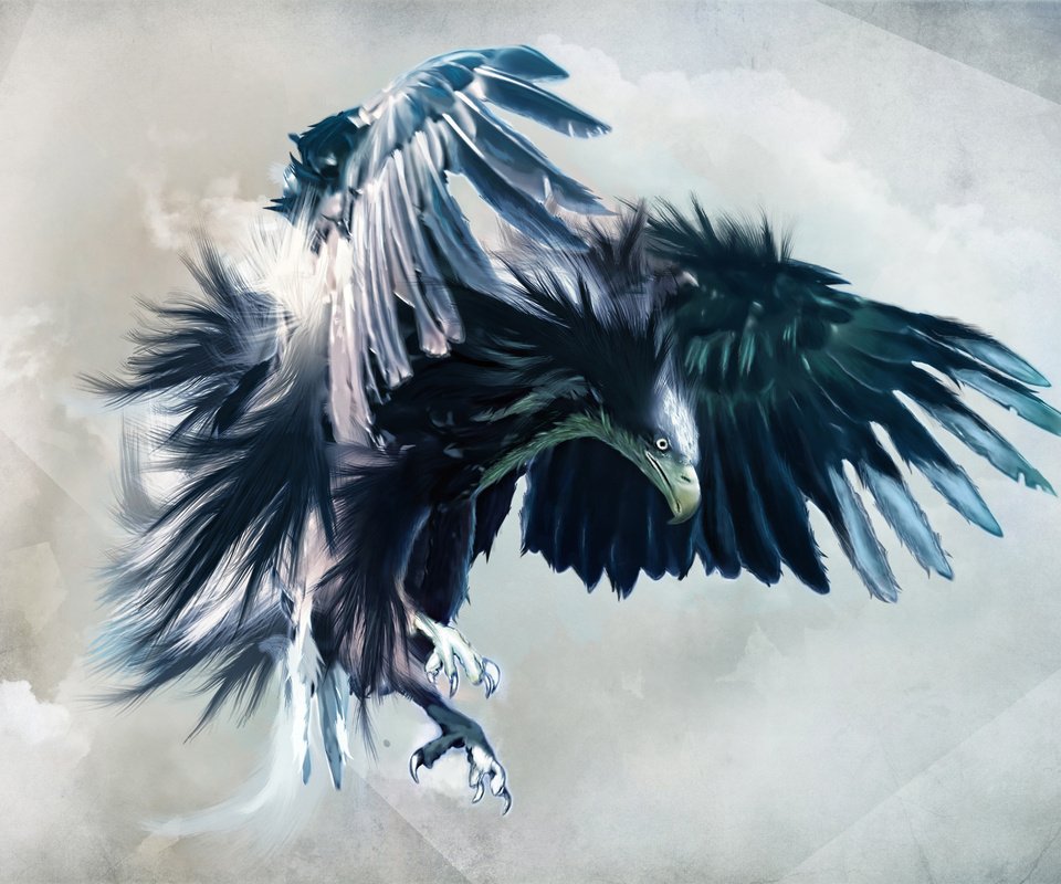Обои арт, полет, взгляд, крылья, орел, птица, клюв, перья, art, flight, look, wings, eagle, bird, beak, feathers разрешение 2560x1600 Загрузить