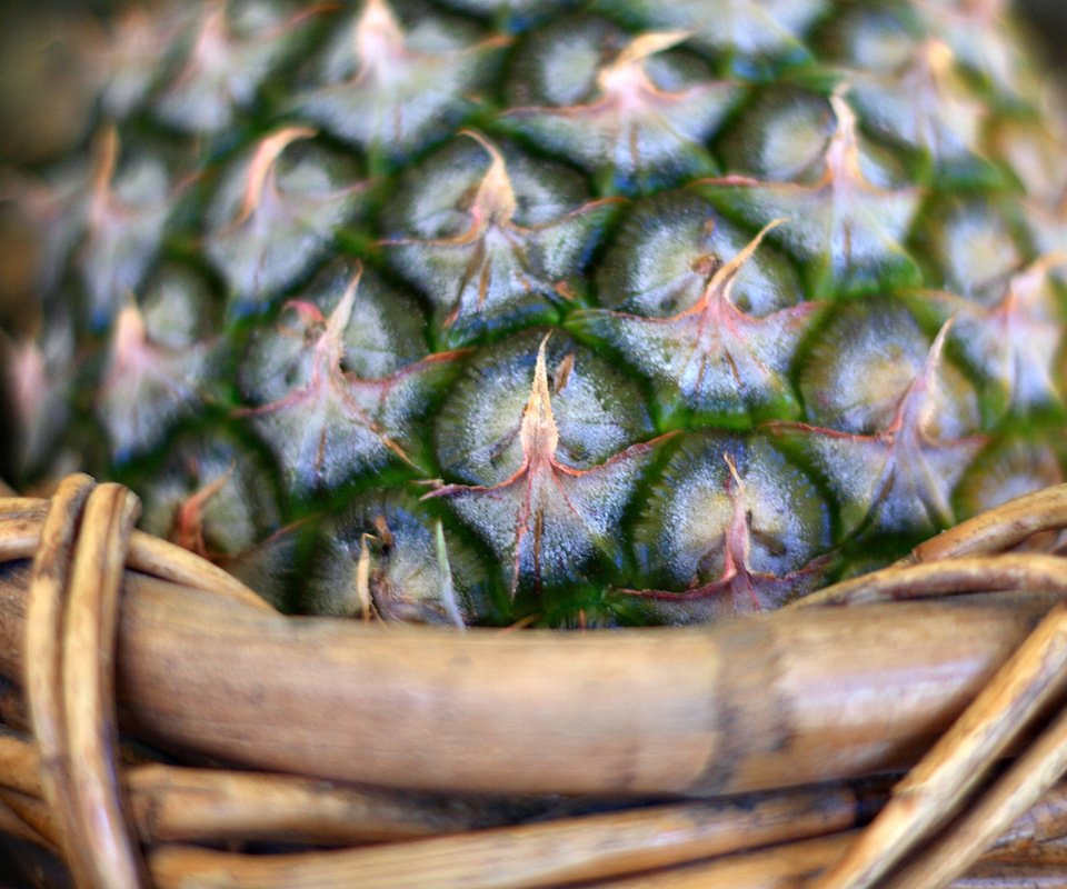 Обои макро, корзина, ананас, macro, basket, pineapple разрешение 1920x1080 Загрузить