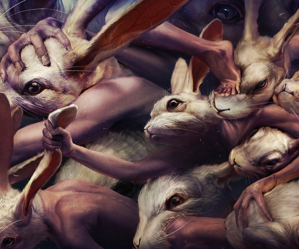 Обои кролики, ryohei hase, драка, мутанты, rabbits, fight, mutants разрешение 1920x1080 Загрузить