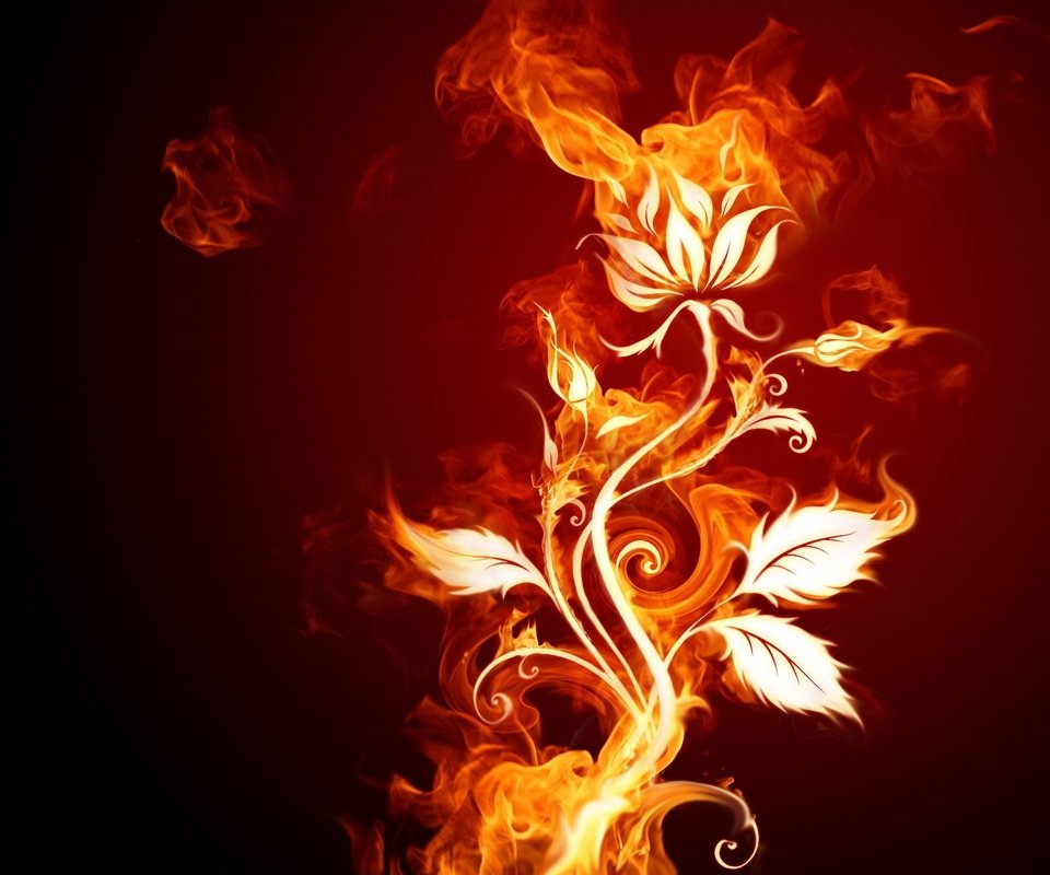 Обои цветок, огонь, flower, fire разрешение 1920x1440 Загрузить