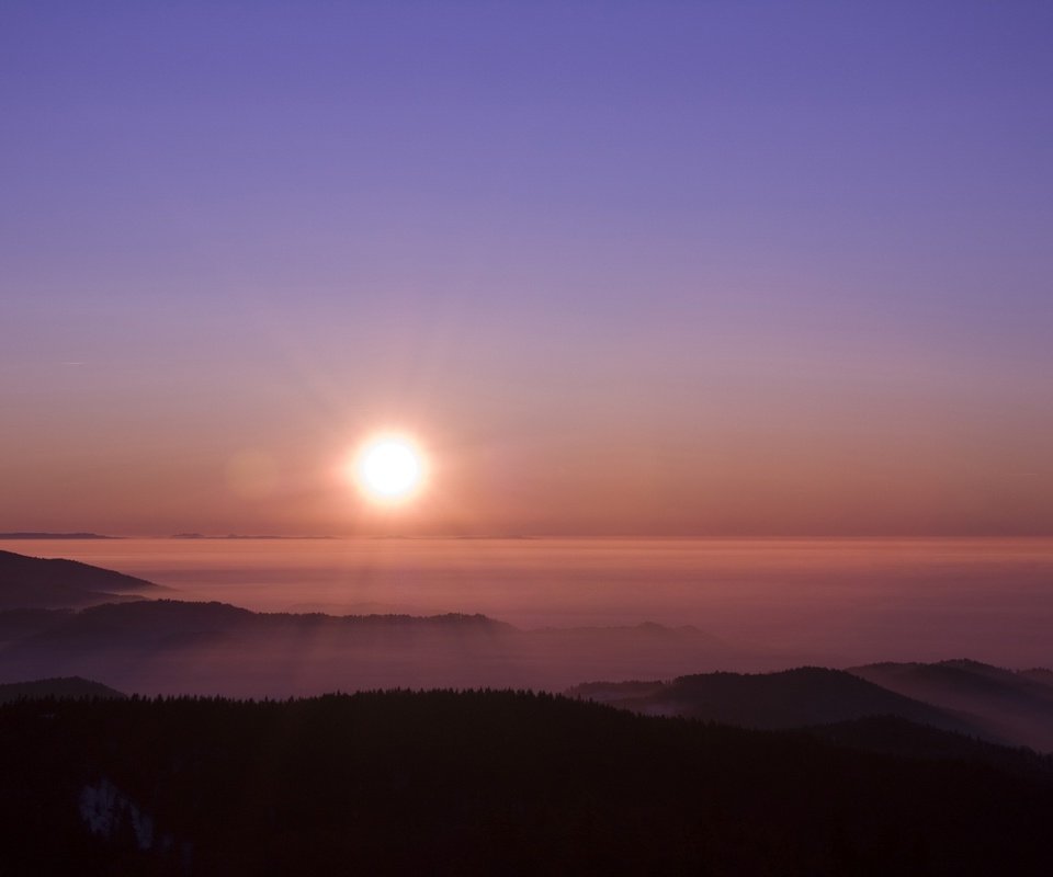 Обои солнце, туман, горизонт, the sun, fog, horizon разрешение 2560x1600 Загрузить