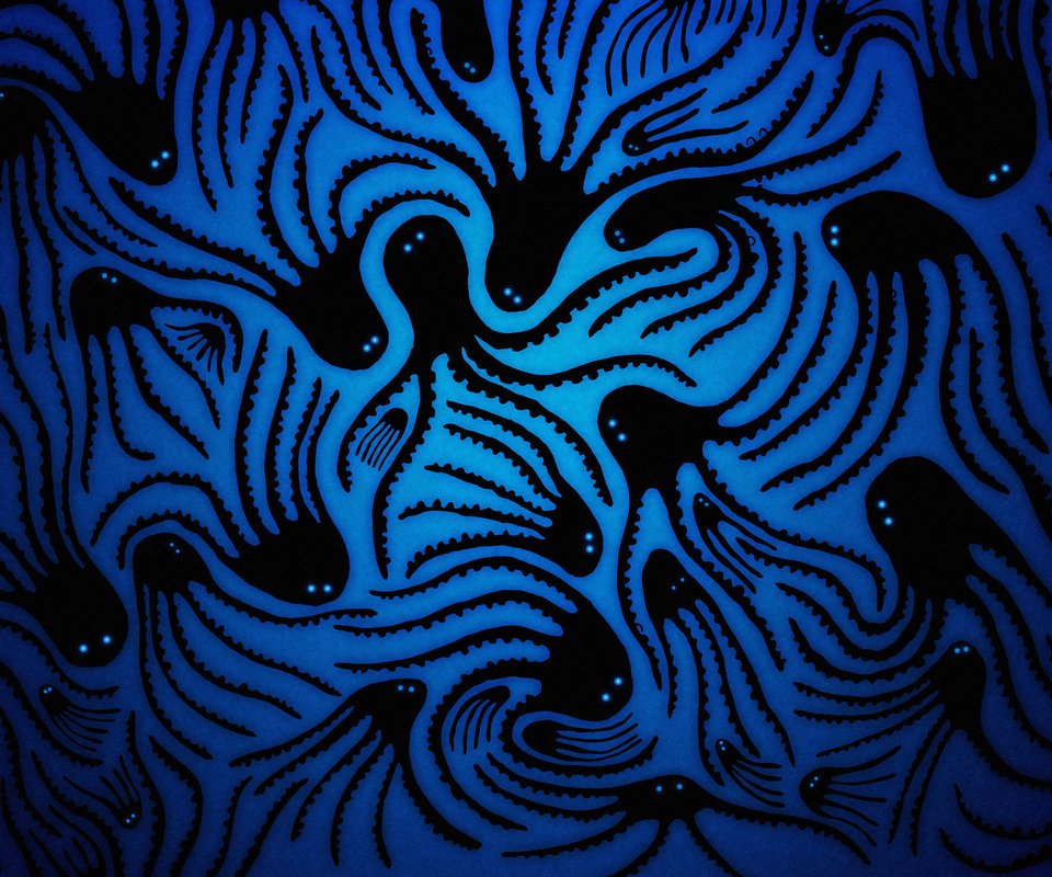 Обои арт, рисунок, осьминог, владстудио, синий фон, осьминоги, art, figure, octopus, vladstudio, blue background разрешение 2560x1600 Загрузить