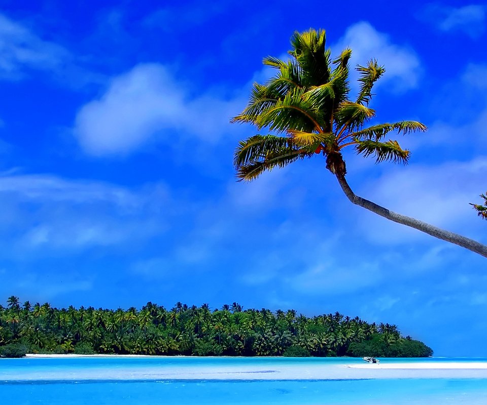 Обои остров, тропики, мальдивы, island, tropics, the maldives разрешение 1920x1080 Загрузить