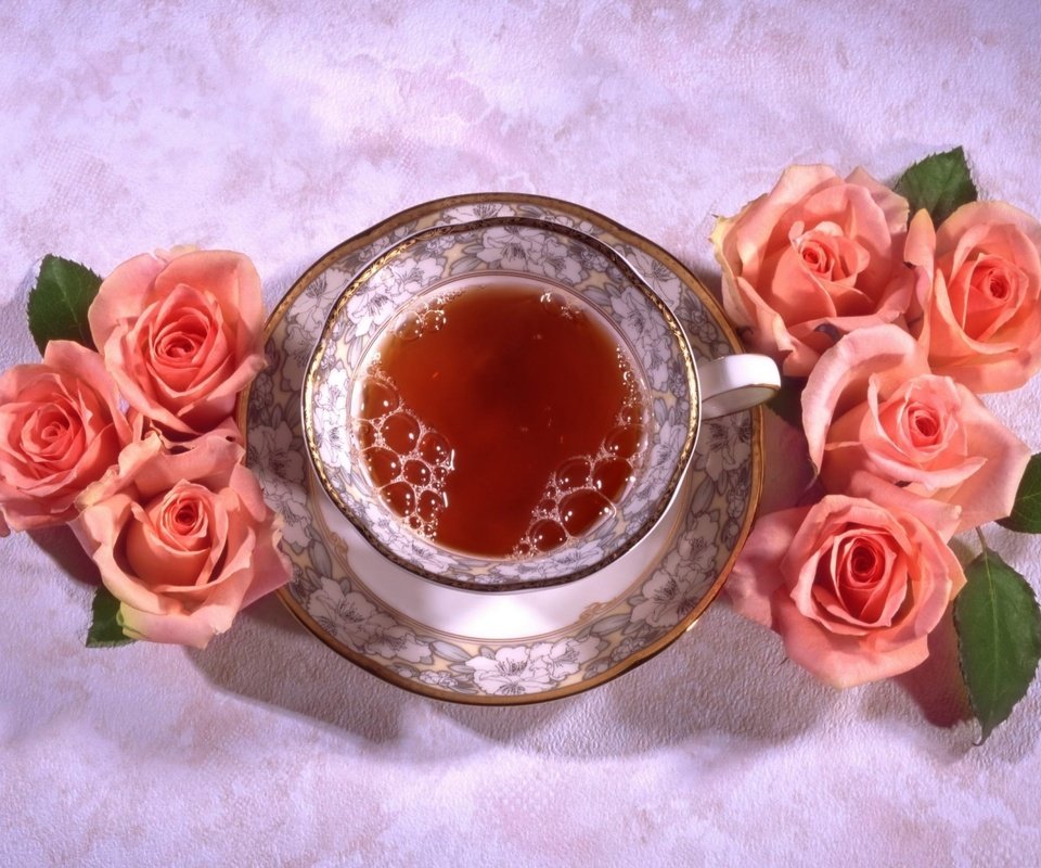 Обои цветы, розы, блюдце, чашка, чай, натюрморт, flowers, roses, saucer, cup, tea, still life разрешение 1920x1339 Загрузить
