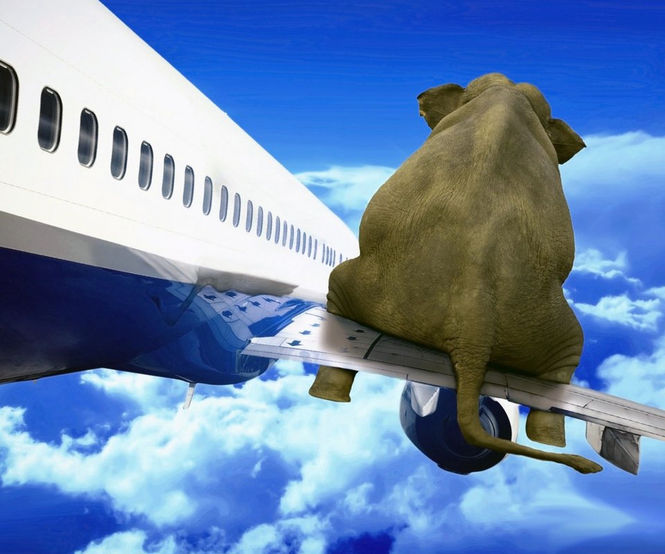 Обои небо, облака, самолет, слон, the sky, clouds, the plane, elephant разрешение 1920x1200 Загрузить
