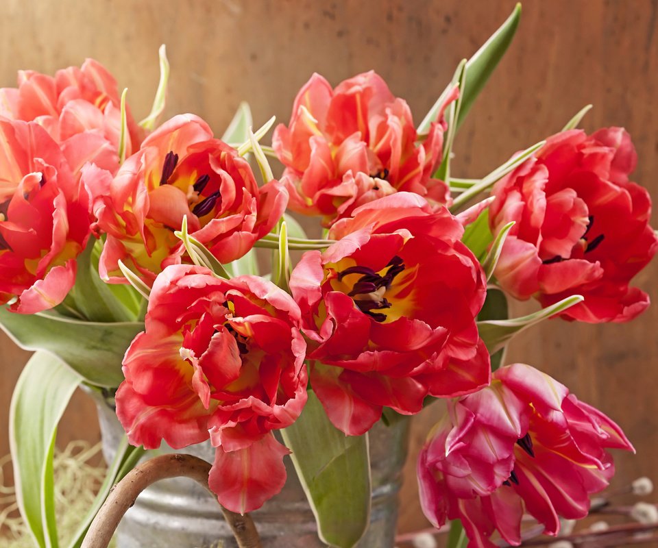 Обои цветы, красные, букет, тюльпаны, крупным планом, flowers, red, bouquet, tulips, closeup разрешение 3700x2975 Загрузить