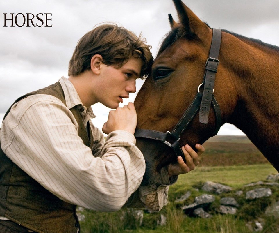 Обои фильм, боевой конь, джереми ирвин, the film, war horse, jeremy irvine разрешение 2560x1600 Загрузить