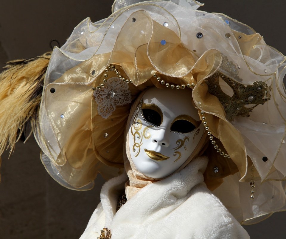 Обои маска, венеция, костюм, карнавал, mask, venice, costume, carnival разрешение 2400x1555 Загрузить