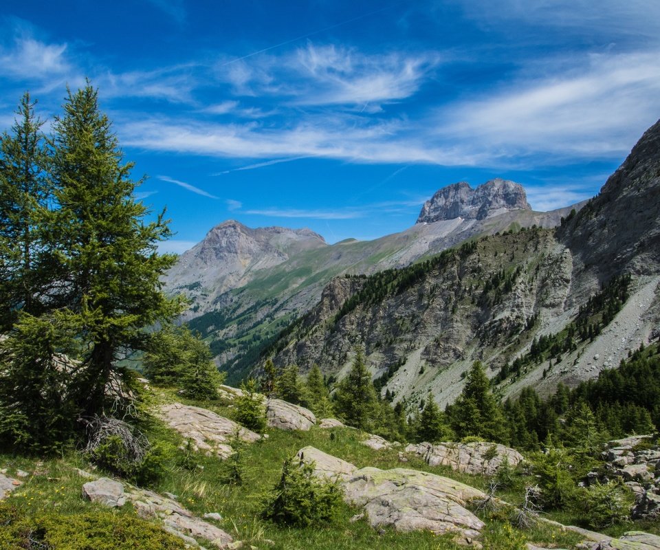 Обои деревья, горы, природа, франция, альпы, la grande seolane, trees, mountains, nature, france, alps разрешение 2880x1895 Загрузить