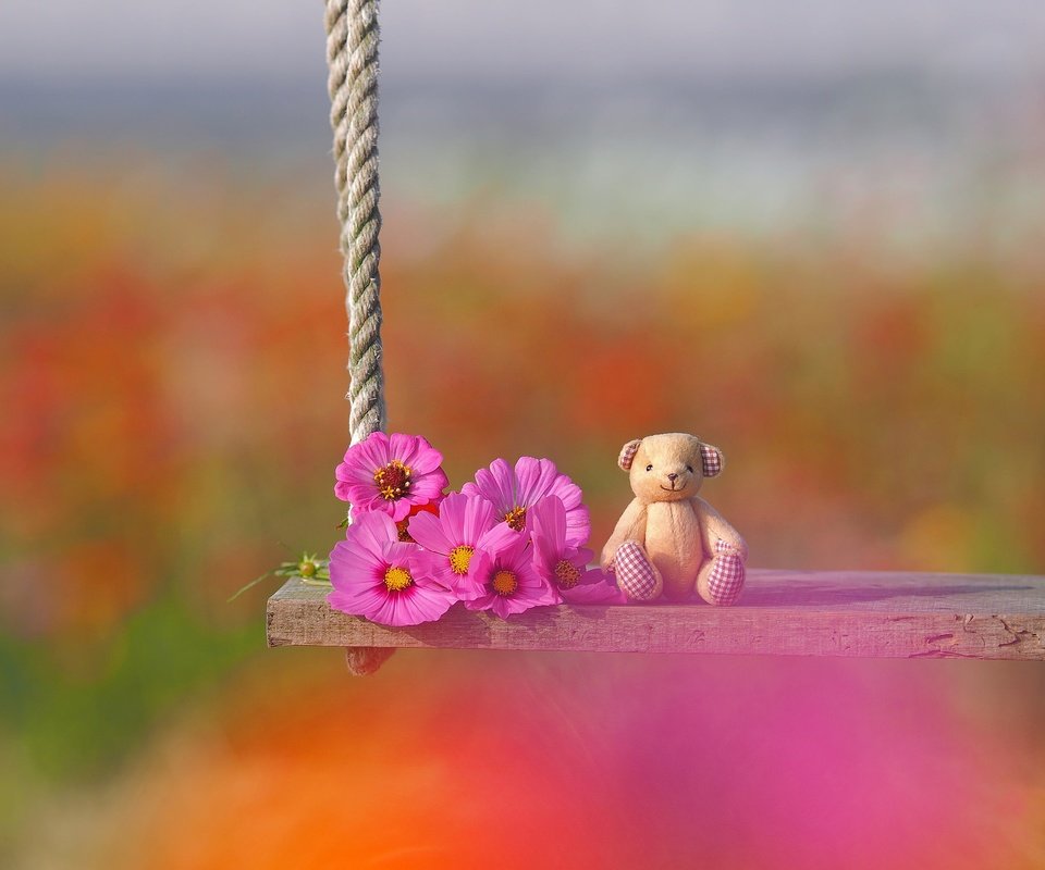 Обои цветы, настроение, игрушка, качели, медвежонок, боке, космея, плюшевый мишка, flowers, mood, toy, swing, bear, bokeh, kosmeya, teddy bear разрешение 2048x1536 Загрузить