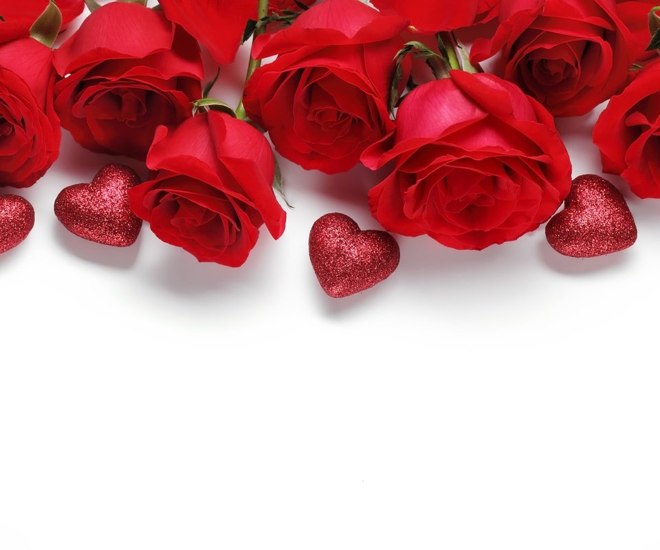 Обои цветы, розы, красные, белый фон, сердечки, день святого валентина, валентинки, flowers, roses, red, white background, hearts, valentine's day, valentines разрешение 2880x1920 Загрузить