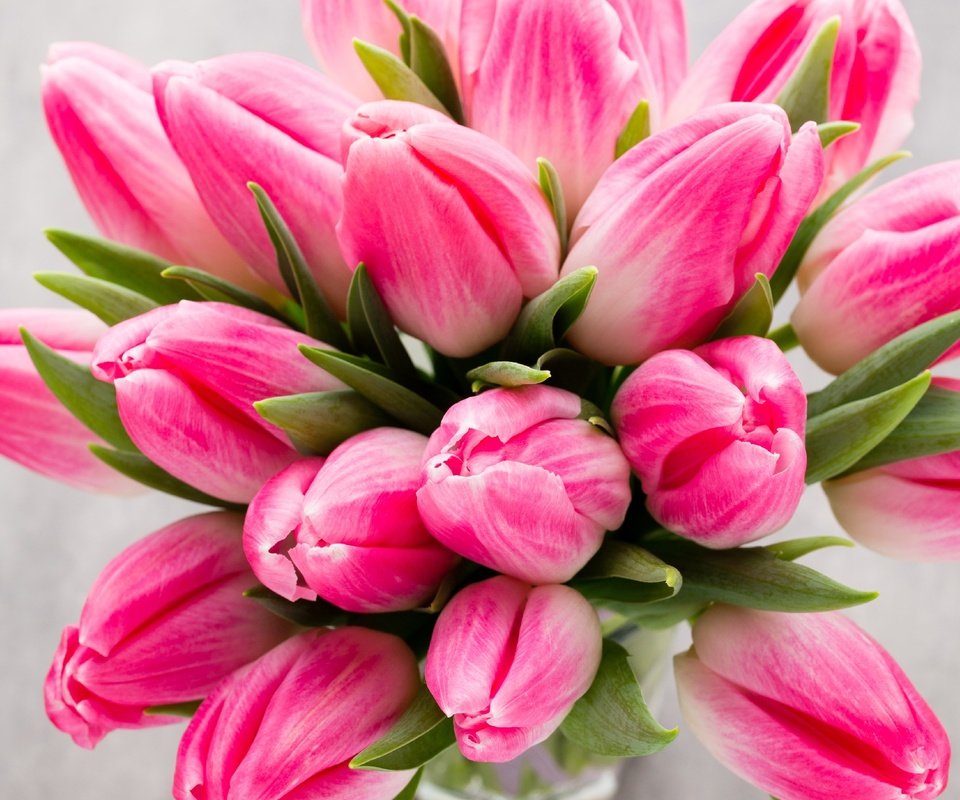 Обои цветы, букет, тюльпаны, розовые цветы, flowers, bouquet, tulips, pink flowers разрешение 1920x2880 Загрузить