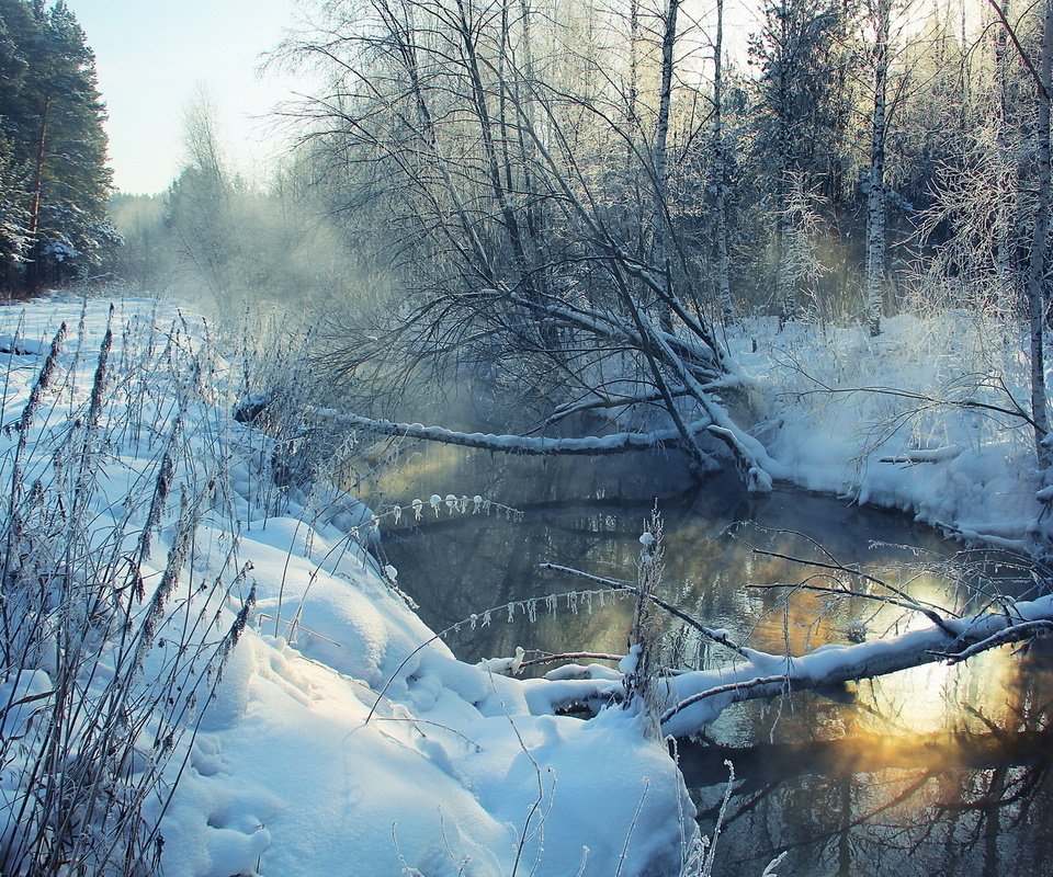 Обои река, снег, дерево, зима, пейзаж, утро, иней, берега, river, snow, tree, winter, landscape, morning, frost, bank разрешение 1920x1279 Загрузить