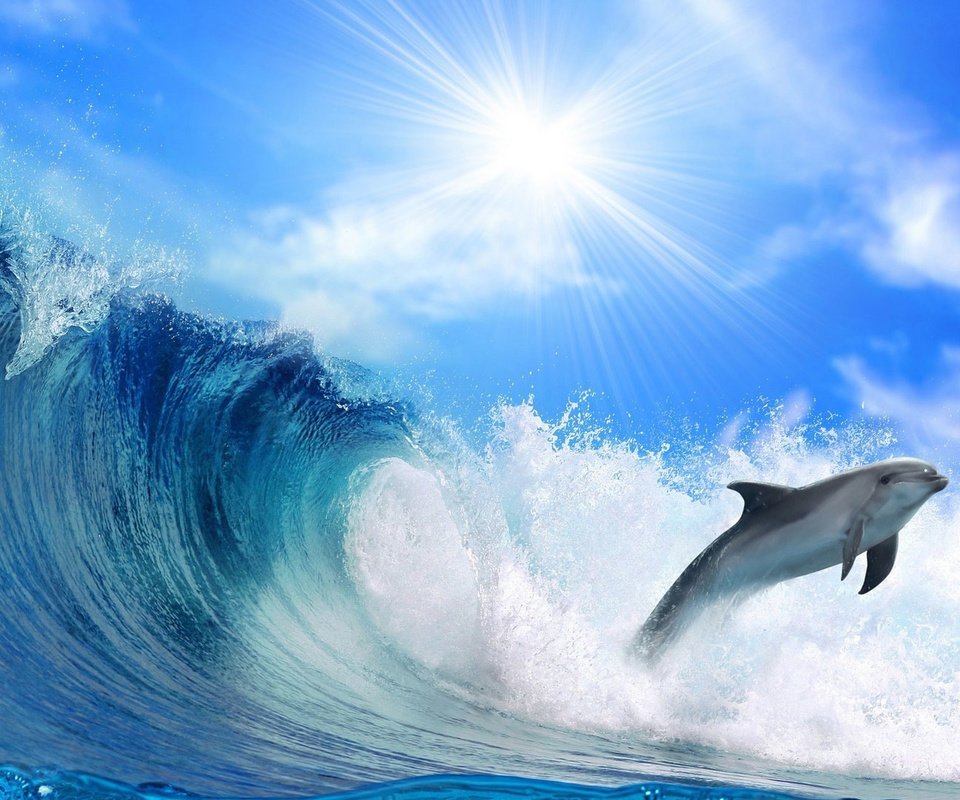 Обои море, прыжок, блеск, дельфин, солнечный свет, sea, jump, shine, dolphin, sunlight разрешение 1920x1080 Загрузить