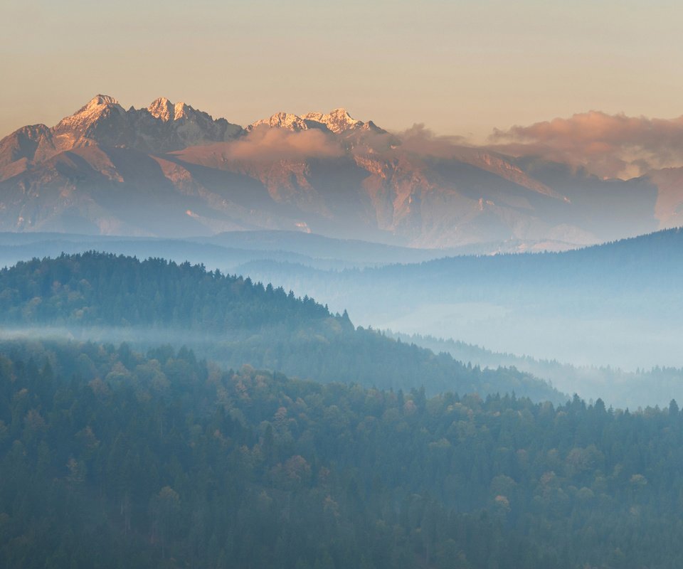 Обои деревья, горы, лес, пейзаж, утро, туман, вид сверху, trees, mountains, forest, landscape, morning, fog, the view from the top разрешение 3840x2400 Загрузить