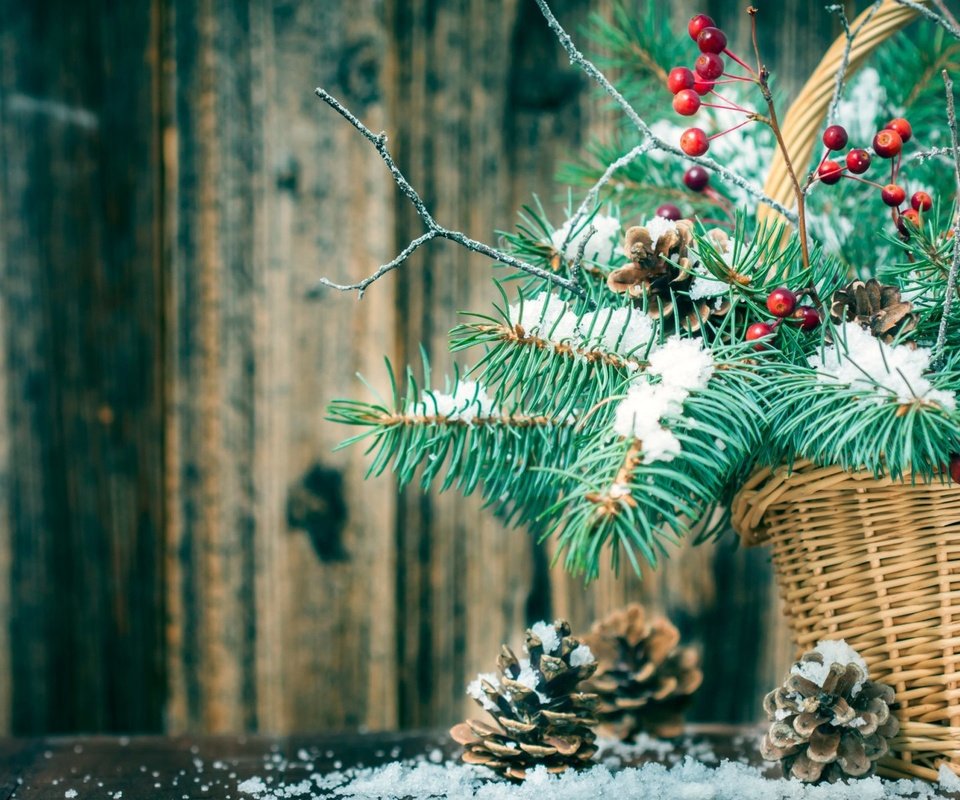Обои новый год, елка, ветки, корзина, рождество, шишки, new year, tree, branches, basket, christmas, bumps разрешение 1920x1200 Загрузить