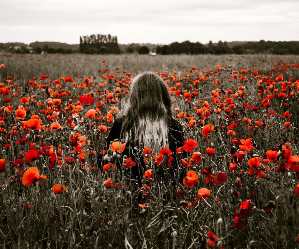 Обои цветы, девушка, поле, красные, маки, модель, спина, волосы, flowers, girl, field, red, maki, model, back, hair разрешение 4607x2661 Загрузить