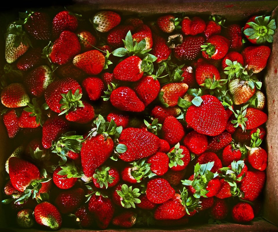 Обои клубника, ягоды, много, strawberry, berries, a lot разрешение 3264x2448 Загрузить