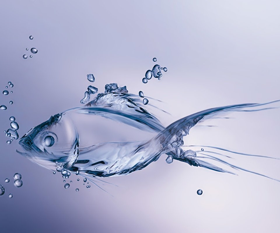 Обои вода, капли, графика, рыбка, пузырьки, рыба, 3д, water, drops, graphics, fish, bubbles, 3d разрешение 4490x3000 Загрузить