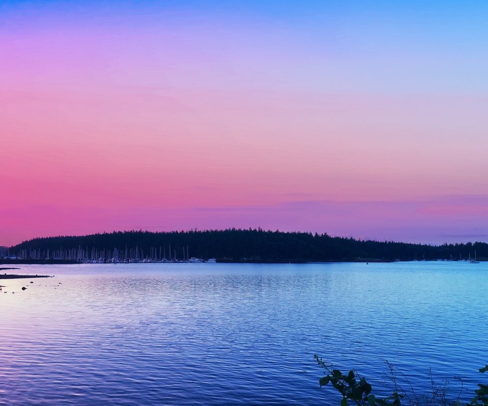 Обои деревья, озеро, закат, горизонт, trees, lake, sunset, horizon разрешение 3342x2675 Загрузить