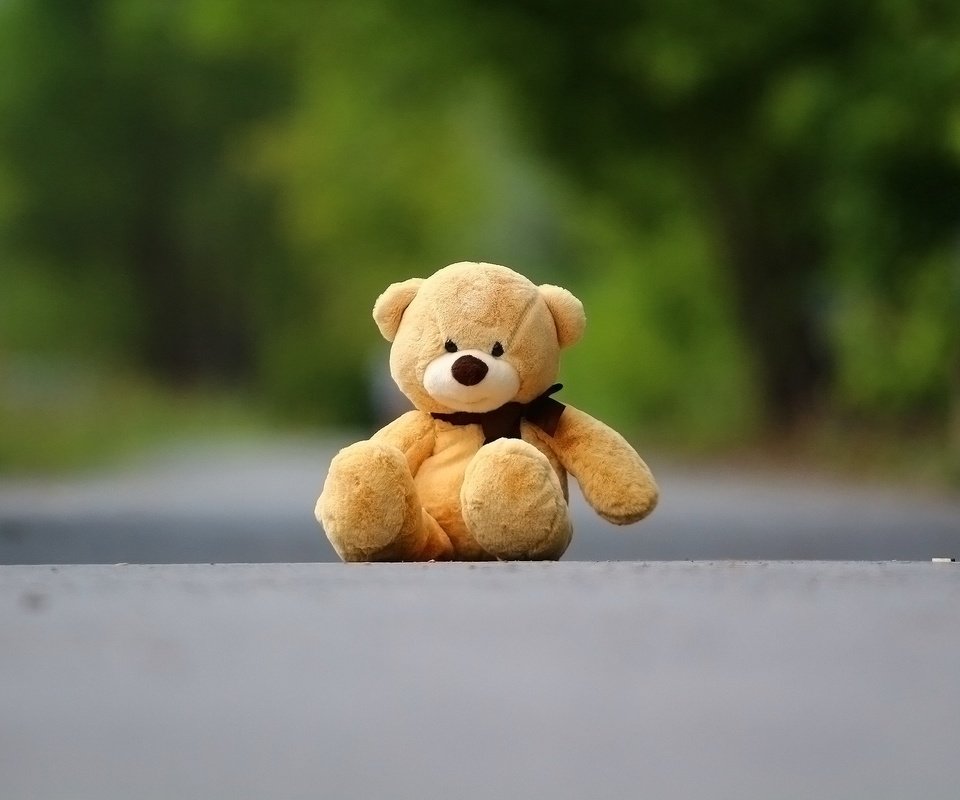 Обои фон, медведь, мишка, игрушка, асфальт, плюшевый мишка, background, bear, toy, asphalt, teddy bear разрешение 1920x1280 Загрузить
