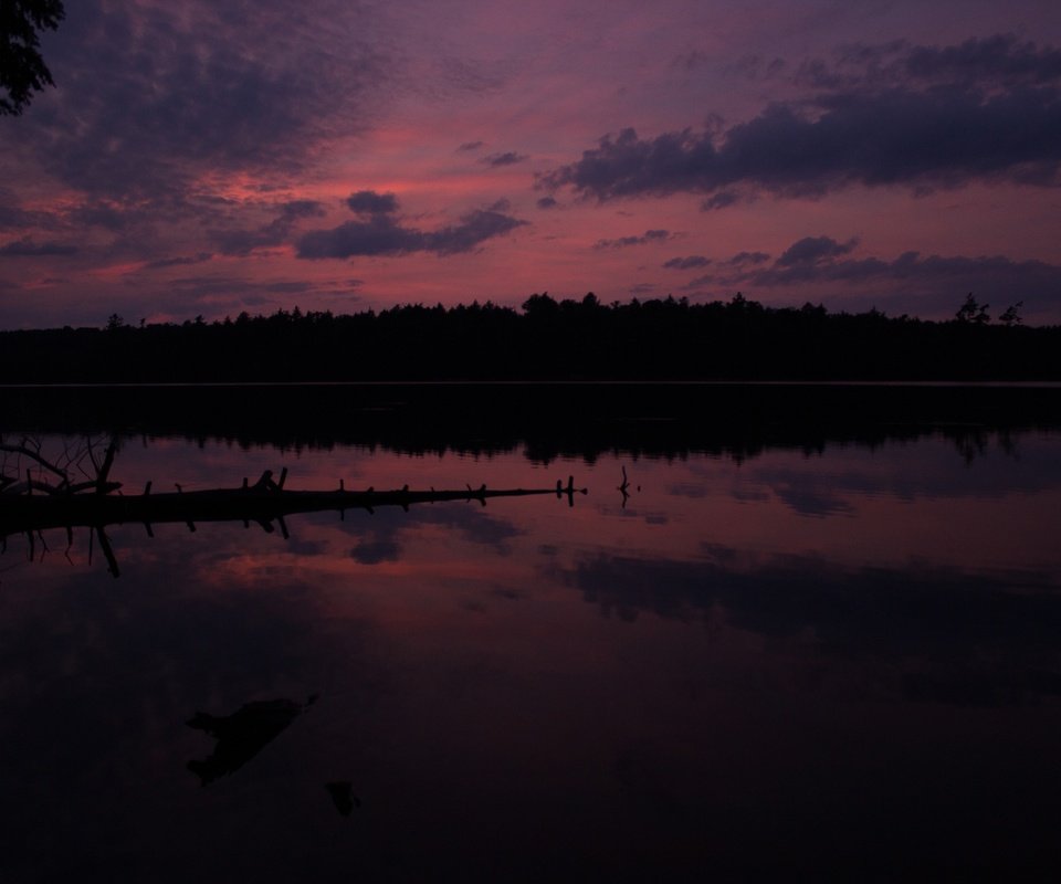 Обои небо, облака, вечер, река, природа, лес, закат, горизонт, the sky, clouds, the evening, river, nature, forest, sunset, horizon разрешение 3840x2560 Загрузить