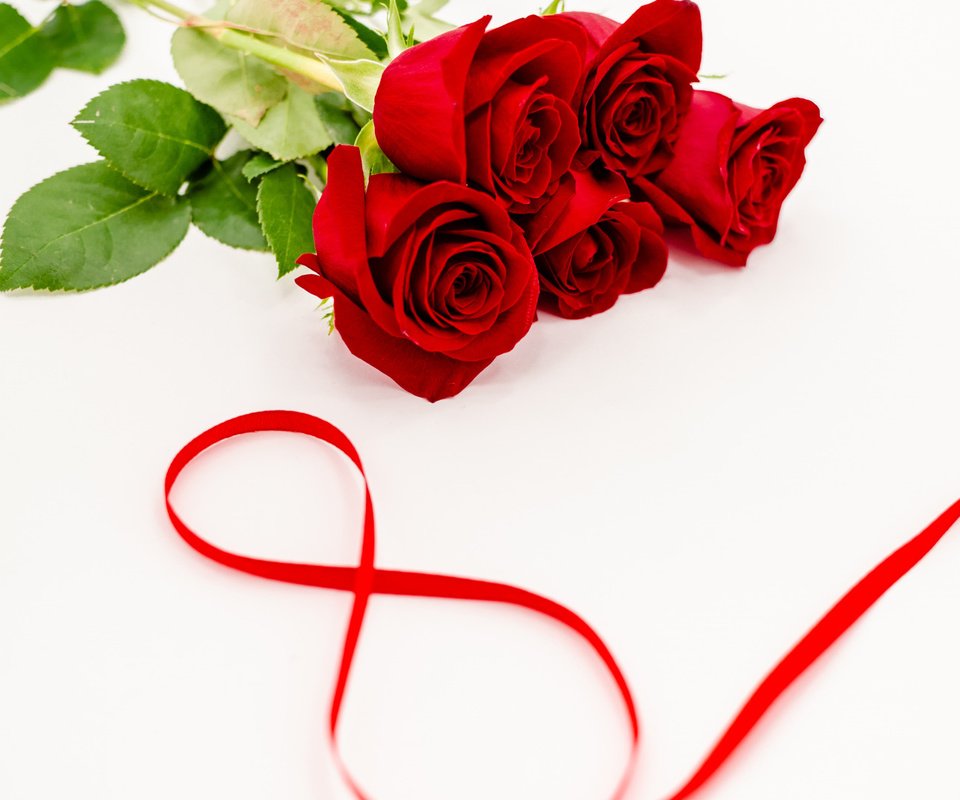 Обои цветы, розы, красные, лента, романтик, 8 марта, flowers, roses, red, tape, romantic, march 8 разрешение 1920x1080 Загрузить