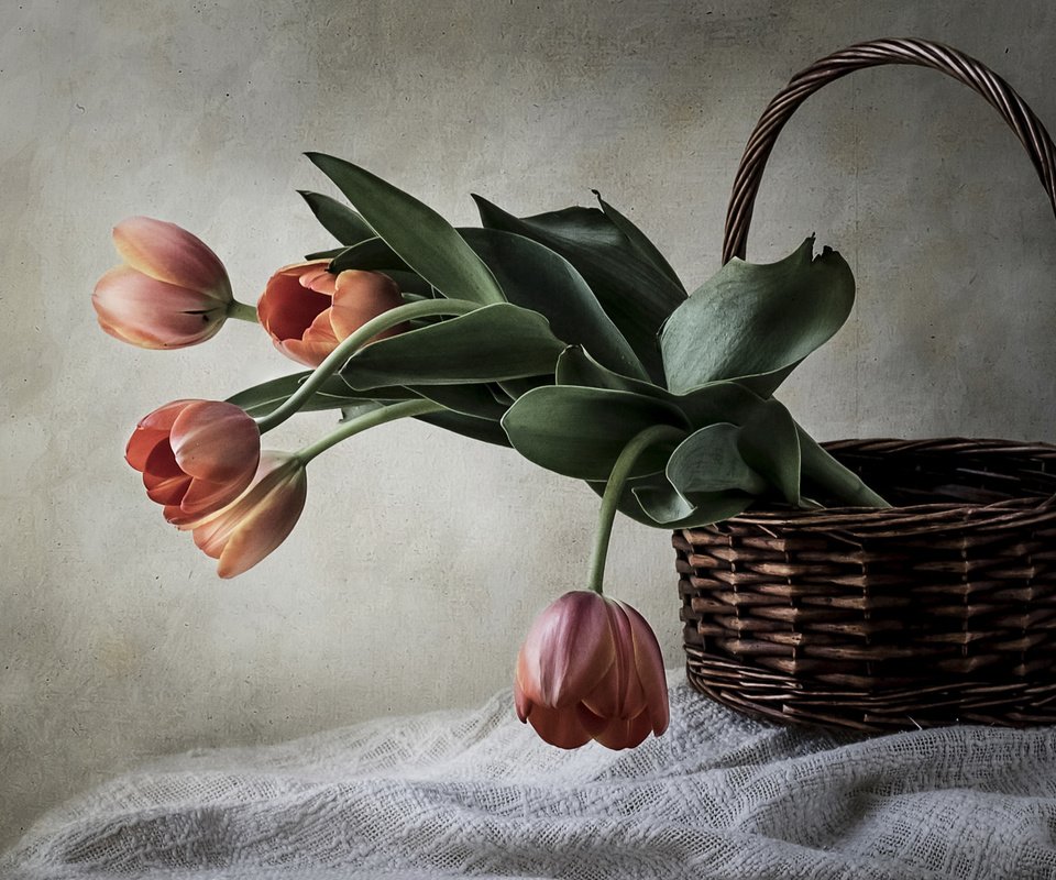 Обои стиль, корзина, тюльпаны, style, basket, tulips разрешение 2112x1188 Загрузить