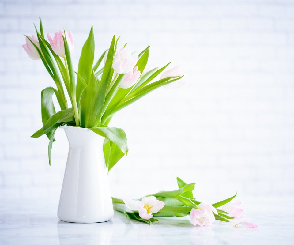 Обои цветы, бутоны, лепестки, букет, тюльпаны, ваза, flowers, buds, petals, bouquet, tulips, vase разрешение 5664x3776 Загрузить
