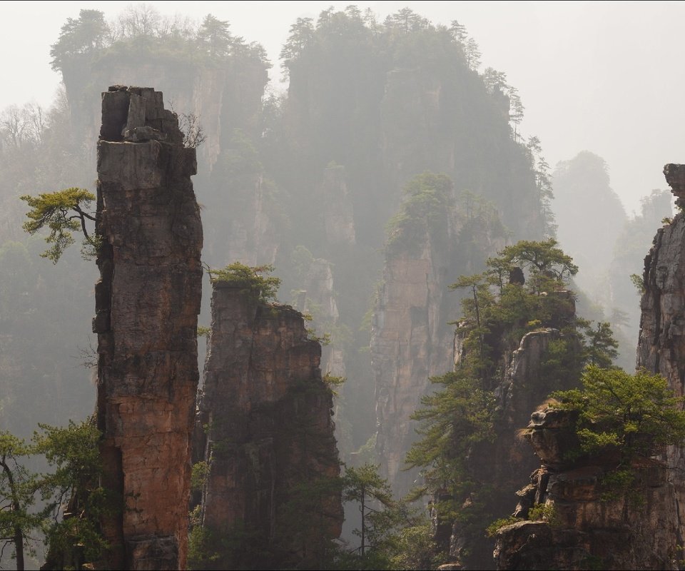 Обои горы, скалы, туман, китай, zhangjiajie national park, mountains, rocks, fog, china разрешение 1920x1080 Загрузить