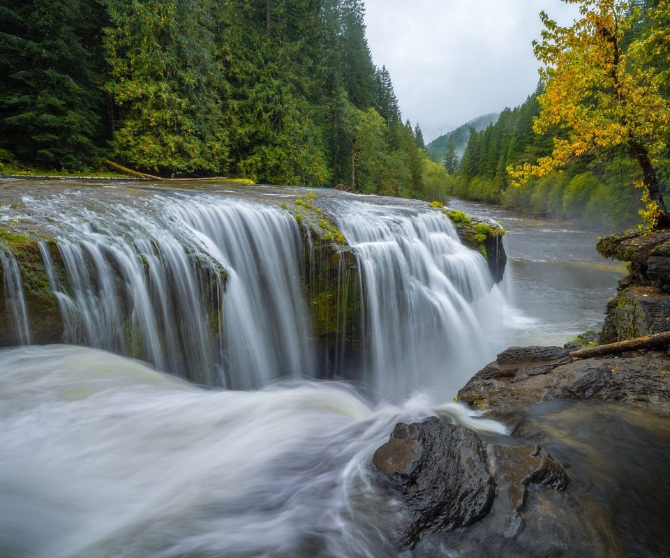 Обои река, лес, водопад, осень, каскад, штат вашингтон, штате вашингтон, lewis river, gifford pinchot национальный лес, gifford pinchot national forest, river, forest, waterfall, autumn, cascade, washington, washington state разрешение 4643x3096 Загрузить