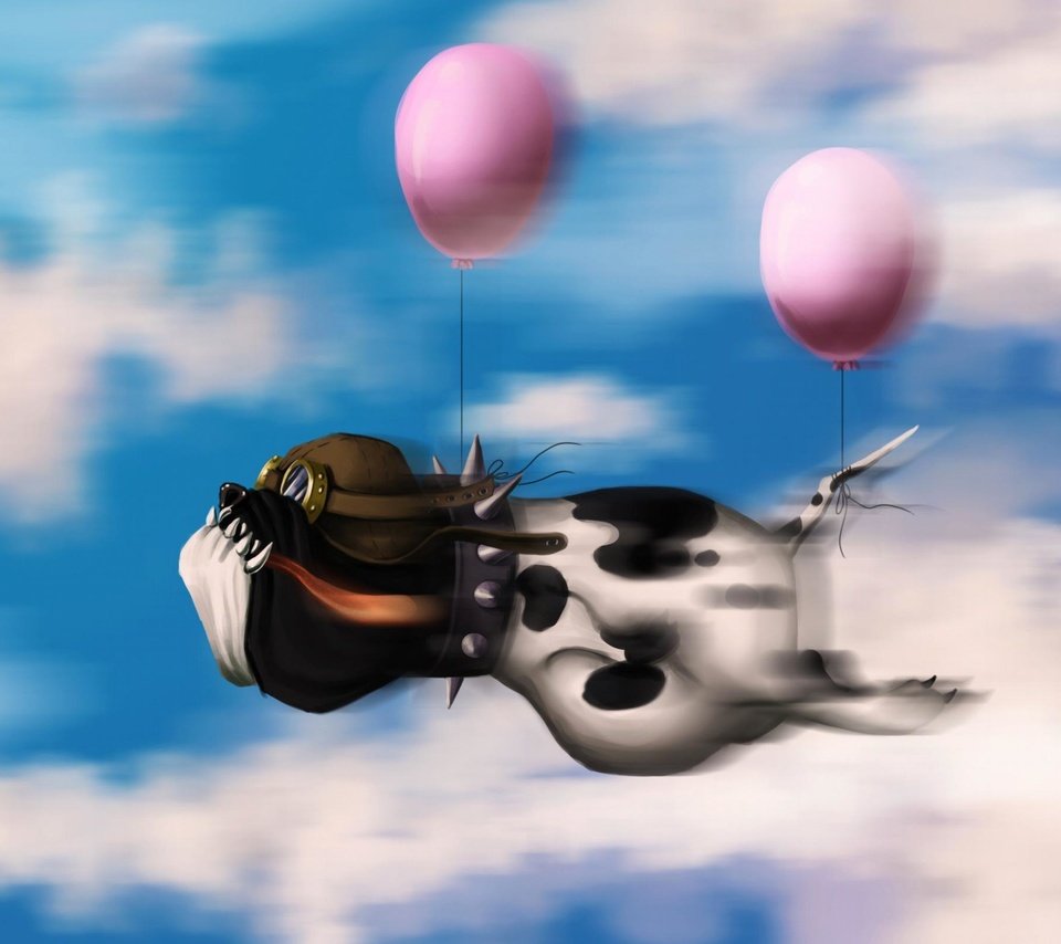 Обои небо, облака, пилот, полет, собака, воздушные шары, the sky, clouds, pilot, flight, dog, balloons разрешение 2560x1600 Загрузить